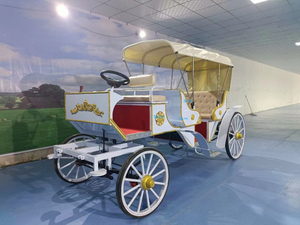 Carruaje de caballos al aire libre real de lujo europeo completo/vehículo de caballos de tráfico turístico/carro de caballos eléctrico de turismo a la venta - Product Image 3