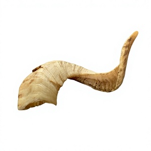 Shofar de Cuerno de Carnero Natural Genuino, Instrumento de Cuerno Crudo Hecho a Mano, Cuerno Musical Religioso Tradicional, Tacto Real de Animal, Alta Calidad - Product Image 1