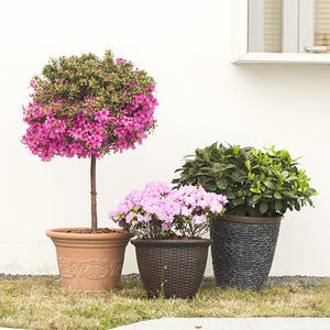 Pot de fleurs en résine plastique imitant la <span class=keywords><strong>pierre</strong></span>, pour l'intérieur et l'extérieur, grand format, auto-arrosant, avec trou de drainage, finition peinte, minimaliste - Product Image 6