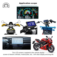 Pantalla LCD para Motocicleta, Pantalla a Color Segmentada VA para Panel de Instrumentos de Scooter Eléctrico, Conexión Personalizada