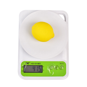 Nuevo juguete antiestrés de limón en forma de bolsa de malla, divertido juguete antiestrés de limón de rebote lento, simulación de fruta para aliviar el estrés. - Product Image 4