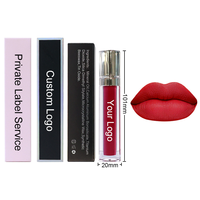 Gloss à lèvres hydratant et repulpant en alliage de zinc, avec grande tête applicatrice en métal et grand pinceau, rose vif, marque privée