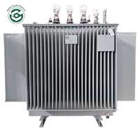 Transformateur immergé dans l'huile triphasé S20 à pertes ultra-faibles 10kV 0.4kV, transformateur de distribution à économie d'énergie, OEM disponible