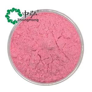 Bulk Wateroplosbaar Natuurlijk Puur Granaatappelconcentraat Vruchtensap Poeder - Product Image 2