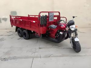 Nouvelle arrivée 2000kg - 3000kg capacité de chargement grand tricycle cargo à essence - Product Image 5