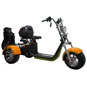 2022 نمط جديد رخيصة الوعرة سكوتر كهربائي 3 عجلة دراجة ثلاثية العجلات الغولف سكوتر 2000w 3000w ل الكبار
