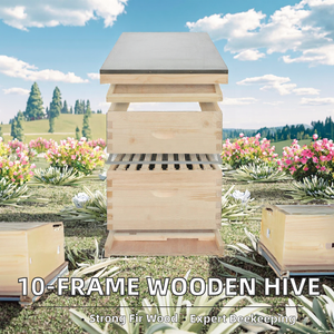 Nouvelle ruche à abeilles MengerBee en bois de sapin, 2 couches, polie, Langstroth, 10 cadres, non assemblée, équipement d'apiculture, garantie 1 an - Product Image 2