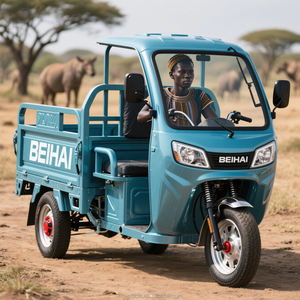फार्म कार्गो ट्राइसाइकिल बड़ी बैटरी कार्गो परिवहन को जहाज करने के लिए तैयार - Product Image 6