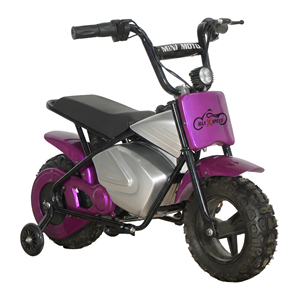MAXSPEED 250DH Vélo Électrique Mini <span class=keywords><strong>Pocket</strong></span> <span class=keywords><strong>Bike</strong></span> 36V 500W à Moteur à Balais, Vente en Gros, pour Enfants, Entraînement en Extérieur, Roues Optionnelles, Débutant - Product Image 2