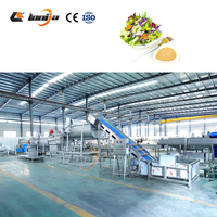 Industriële Chicory Groente- en Fruitwasmachine, Verstelbare Spinaziesnijder, Verse Salade Verwerkingslijn