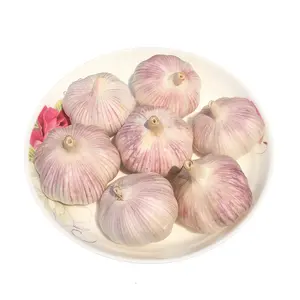 大蒜Alho (新作物)/红色大蒜/纯白色大蒜/10公斤