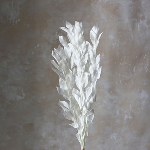 5 tallos de hoja de naranja de follaje preservado, hojas secas de larga duración, tallos de hojas de naranja secas preservadas para ramo de flores secas - Product Image 6