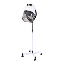 Sèche-cheveux professionnel de salon 1000W en plastique sur pied blanc/noir, tension universelle, pour traitement capillaire à chaud