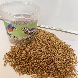 Vers de farine séchés riches en protéines pour poulets, oiseaux et reptiles - Aliment de qualité supérieure certifié GMP+ pour petits animaux - Product Image 4