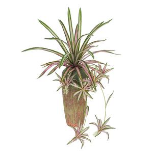 Plante araignée chinoise réaliste fausse herbe grande plante murale artificielle pour décor d'hôtel - Product Image 4