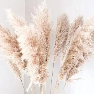 SN-L1043 Großhandel Hochzeit Blumen arrangement 110cm groß Weiß Beige Farbe dekorative natürliche getrocknete Pampas Gras