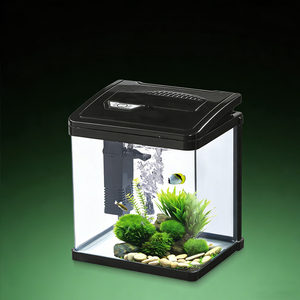 <span class=keywords><strong>Acquario</strong></span> in Vetro Personalizzabile con Luce LED Integrata e Filtro, Mini <span class=keywords><strong>Acquario</strong></span> da Scrivania per Decorazione Casa e Ufficio - Product Image 1