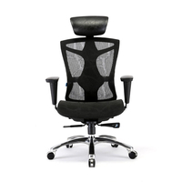Chaise de bureau de direction ergonomique de luxe avec dossier en maille et support lombaire, pivotante, pour ordinateur et mobilier de bureau