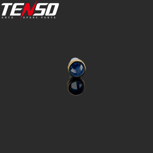 طقم مانع تسرب إصلاح فلتر حاقن الوقود GDI مقاس 6*13 مم من Tenso 11005 لسيارة GMC Chevrolet 5.3L Buick 12668390 12644437 - Product Image 6