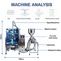 Machine de remplissage et d'emballage automatique de sauce tomate en sachet haute précision, machine d'emballage de sachets de ketchup