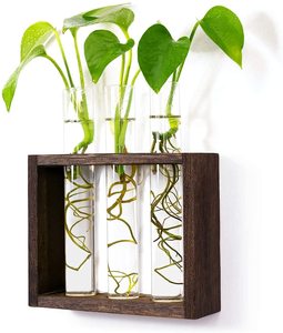 Station de propagation murale en verre pour plantes, avec 5 tubes à essai, pour hydroponie, plantes succulentes et plantes aériennes, vente en gros - Product Image 4