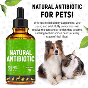 Gouttes liquides antibiotiques personnalisées OEM/ODM pour chiens et chats – Soutien cutané et pelliculaire pour la santé des animaux de compagnie - Product Image 5