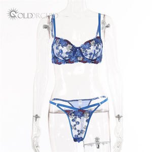 Hoge Kwaliteit 2 Stuk Sexy Mesh Kant Borduurwerk Vrouwen Lingerie Set Sporen Minder Dames Lingerie Sexy Ondergoed - Product Image 6