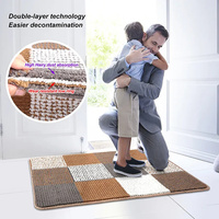 Tapis d'entrée très absorbant pour intérieur, lavable, antidérapant, pour éliminer la boue des chiens, tapis de bienvenue pour hall d'entrée