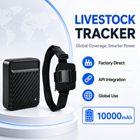 Traceur GPS sans fil 4G LTE GSM 2G étanche 10000mAh avec alarme géofence, prise en charge des bandes mondiales multiples, API et application multilingue