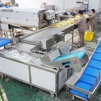 Fabrieksleverancier aardappelwas-, schil- en snijmachine, op maat gemaakte aardappelproductielijn