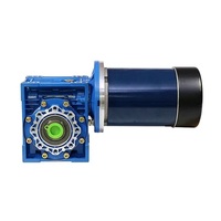 Moteurs à courant continu 24v 12v 3000rpm Maxon Motor Moteur à engrenage à vis sans fin à couple élevé
