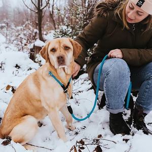 Correa y <span class=keywords><strong>Collar</strong></span> de Nailon Trenzado Resistente de Lujo para Perros, Ajustable, con Logotipo Personalizado - Product Image 6