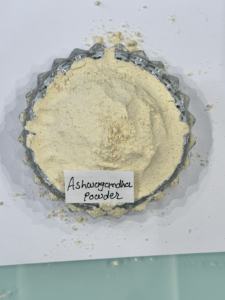 Poudre d'extrait d'ashwagandha séchée certifiée, de qualité supérieure, en vrac, d'Inde, pour adultes, emballée en boîte - Product Image 3