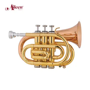 Fort geschrittene Student Pocket Trompete mit Rose Messing Bell(HTP8504G-YYR)