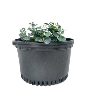 5 gallon vaso di plastica <span class=keywords><strong>da</strong></span> <span class=keywords><strong>giardino</strong></span> nero vaso di fiori <span class=keywords><strong>contenitore</strong></span> - Product Image 5