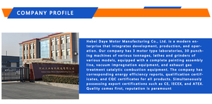 Tùy chỉnh YE3-90L-2 <span class=keywords><strong>2.2kw</strong></span> 3HP 2-cực 3000 vòng/phút 220V/380V/480V 50hp/60hp 3-pha AC cảm ứng không đồng bộ động cơ điện 60Hz ie3 - Product Image 2