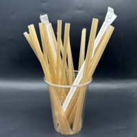 Pailles à boire jetables en agave, compostables, écologiques, à base de plantes, pour les fêtes