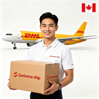 Agente de Transporte Aéreo, Servicio Puerta a Puerta DDP de China a India, Pakistán y Sri Lanka (Empresa de Logística), Precio Económico y Ventajoso