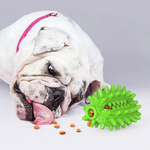 Jouet pour chien en forme de cactus, bâton à mâcher, brosse à dents, jouet à mâcher pour chien - Product Image 4