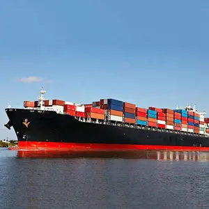 Mejor oferta de envío de carga de Mar de China a EE. UU./Europa amazon fba envío agente de envío de carga aérea