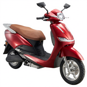 Scooter Eléctrico EEC de Alta Velocidad 1000W para Adultos, CKD, Movilidad, 2 Ruedas, Precio Económico, en Stock - Product Image 1