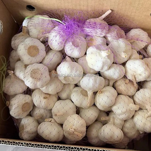 <span class=keywords><strong>Ajo</strong></span> Fresco Normal <span class=keywords><strong>Ajo</strong></span> Blanco Al Por Mayor 20KG Bolsa De Malla <span class=keywords><strong>Ajo</strong></span> Fresco - Product Image 6