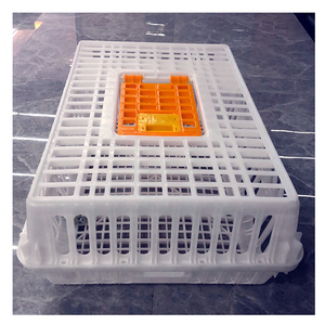 Chicken Chick Poultry Broiler Chicken Transport Box For Chick