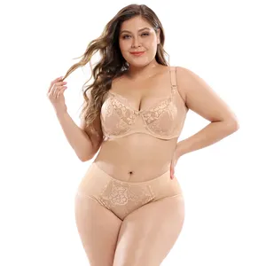 Lace Sexy Plus Size Push up Bra Set Lingerie Underwear Wholesale Hot Sale Seamless for Women Hipster 6 Colors Adults Knitted