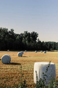 Film d'emballage pour balles d'ensilage LLDPE, film étirable agricole pour l'herbe et les fourrages - Product Image 1