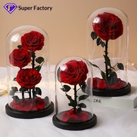 Fleurs séchées éternelles faites à la main sous cloche en verre - Longue durée de vie, respectueuses de l'environnement, prêtes à être exposées, cadeau multi-occasions