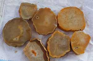 Fabricant de carreaux de dalle polie en agate dorée et de sous-verres à thé-Pierres précieuses usagées avec pièces coupées plaquées or - Product Image 6