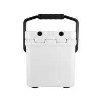 Nouvelles mini-glacières isothermes 9,5 L en LLDPE rotomoulé avec robinet pour le stockage alimentaire