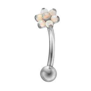 Bán Buôn G23 Titan Astm F136 <span class=keywords><strong>Piercing</strong></span> Lông Mày CZ Rõ Ràng Thanh 3Mm Bóng <span class=keywords><strong>Helix</strong></span> Đồ Trang Sức Bông Tai <span class=keywords><strong>Helix</strong></span> Cho Người Phụ Nữ Người Đàn Ông - Product Image 3