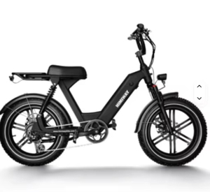 Vélo électrique de style cyclomoteur 750W, conception de scooter longue portée - Product Image 3